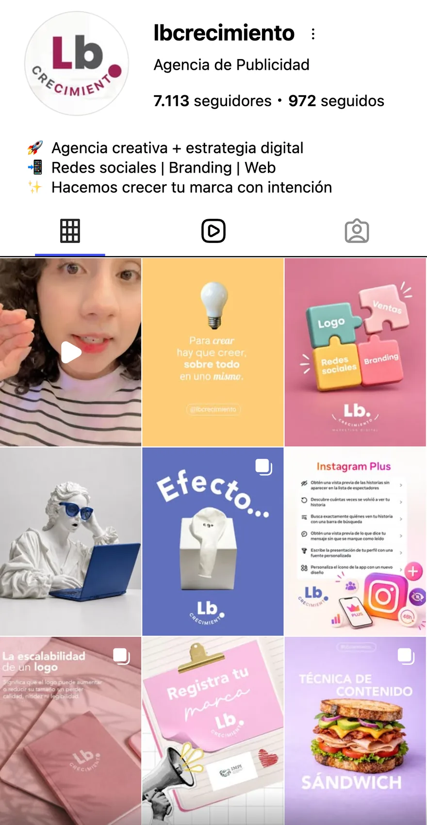 Perfil de Instagram de @lbcrecimiento